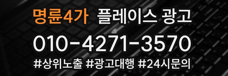 명륜4가 플레이스 광고