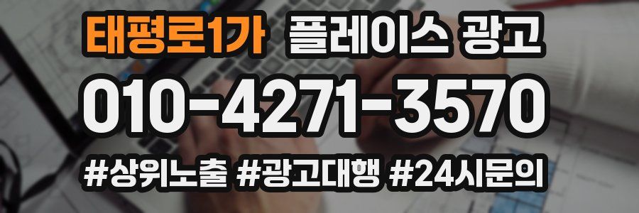 태평로1가 플레이스 광고