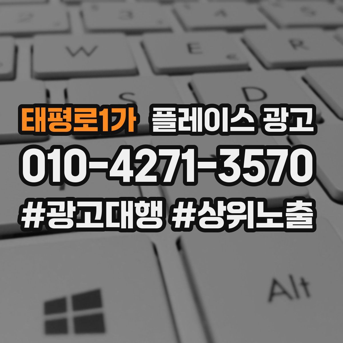 태평로1가 플레이스 광고