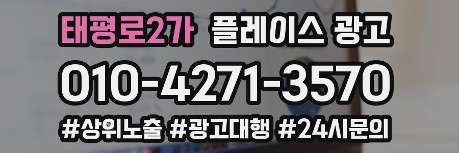 태평로2가 플레이스 광고