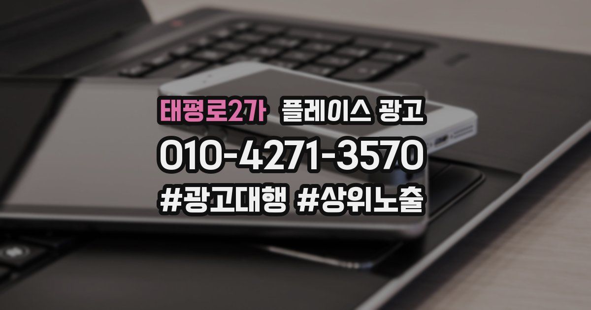 태평로2가 플레이스 광고