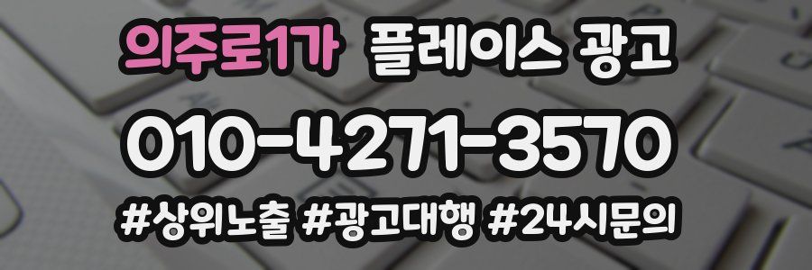 의주로1가 플레이스 광고