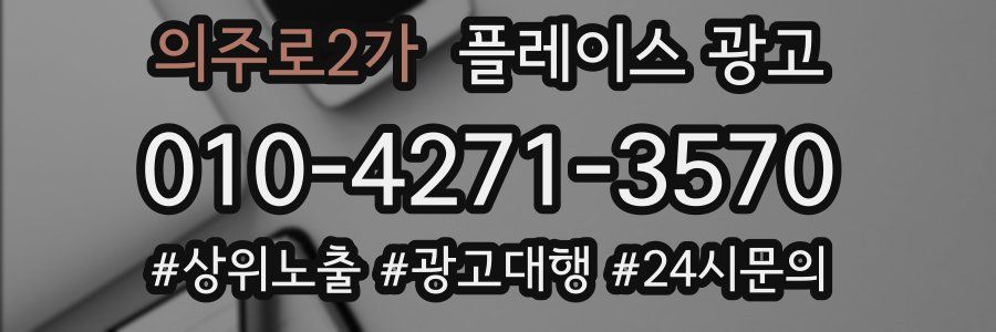 의주로2가 플레이스 광고