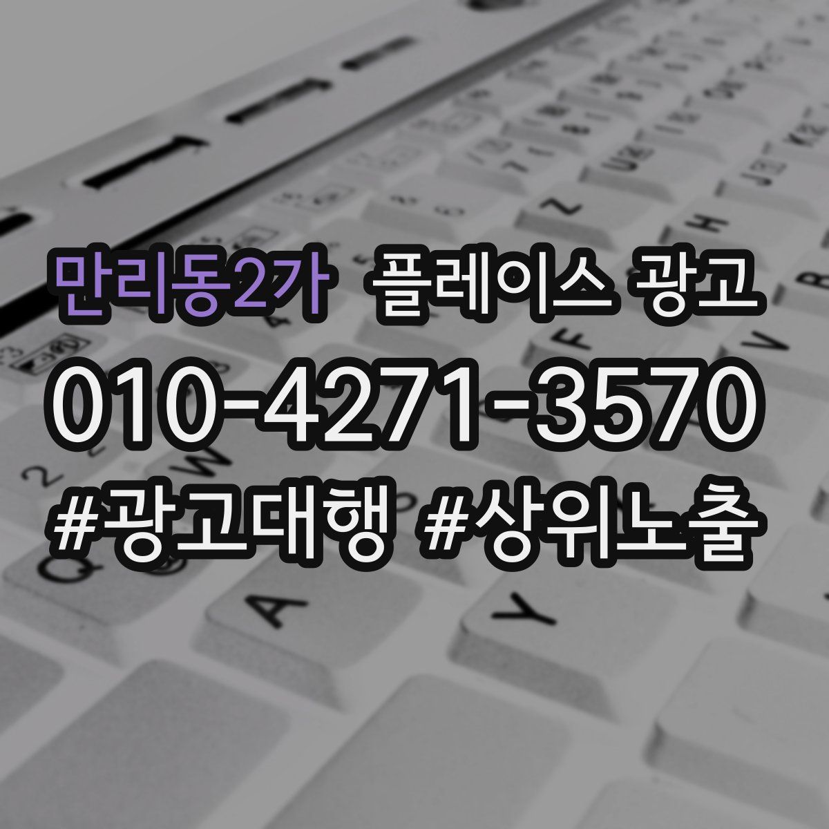 만리동2가 플레이스 광고