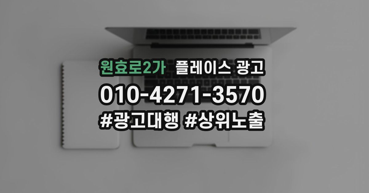 원효로2가 플레이스 광고
