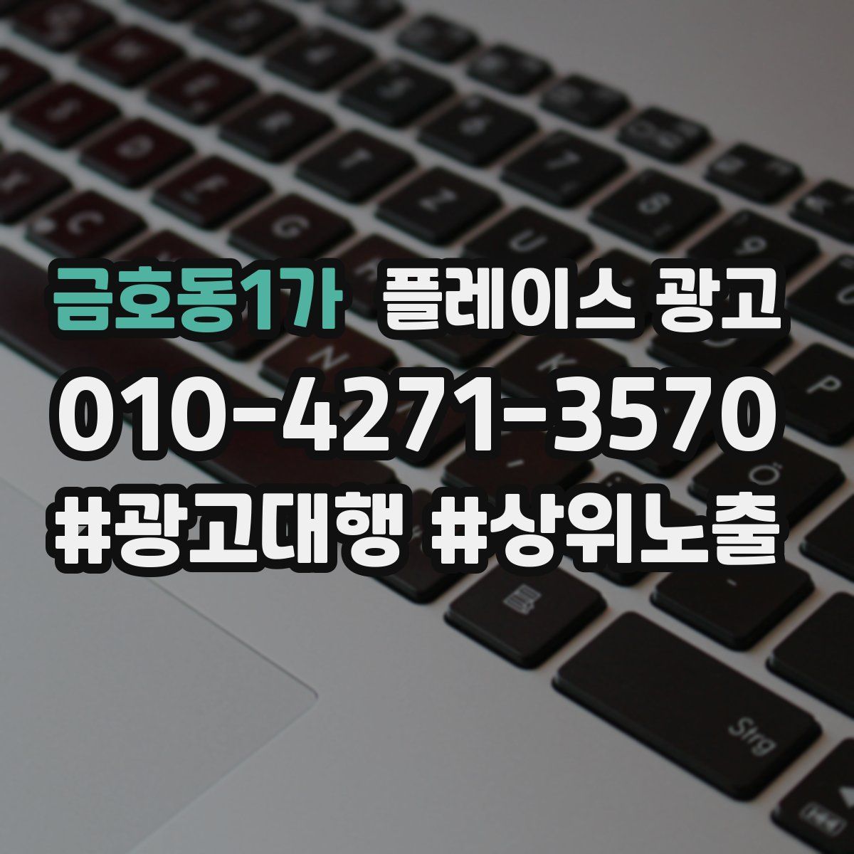 금호동1가 플레이스 광고
