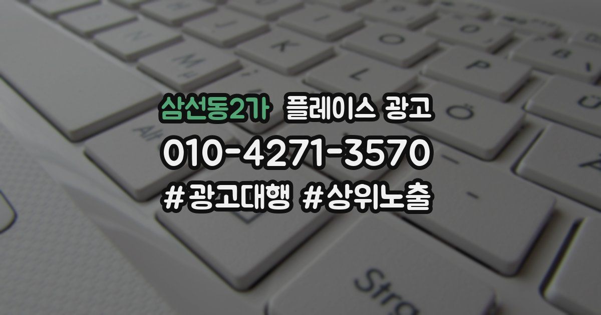 삼선동2가 플레이스 광고