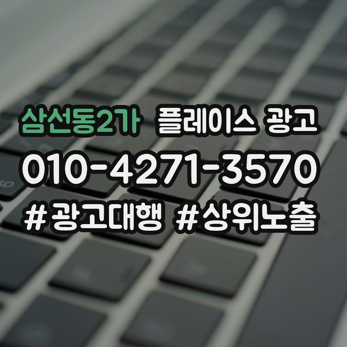 삼선동2가 플레이스 광고