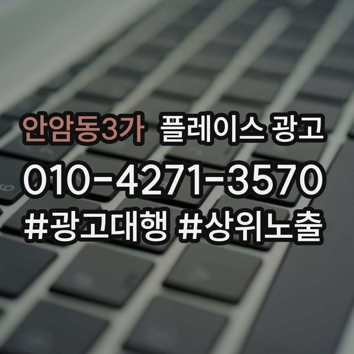 안암동3가 플레이스 광고