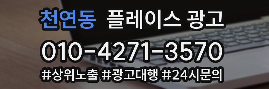 천연동 플레이스 광고