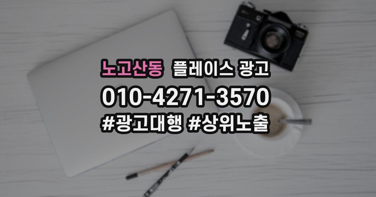 노고산동 플레이스 광고