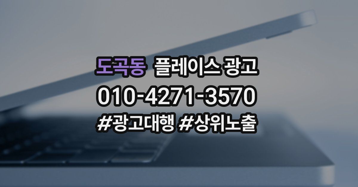 도곡동 플레이스 광고