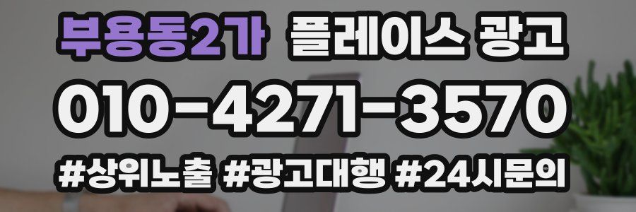 부용동2가 플레이스 광고
