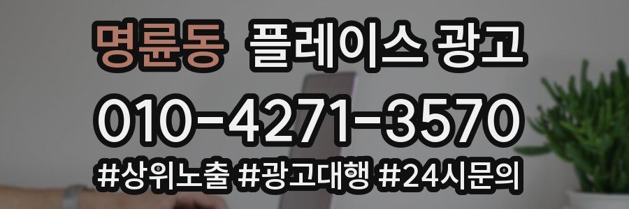 명륜동 플레이스 광고