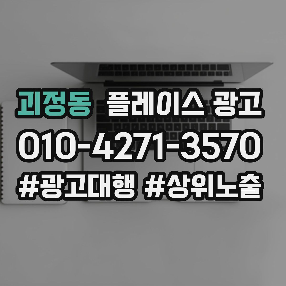 괴정동 플레이스 광고