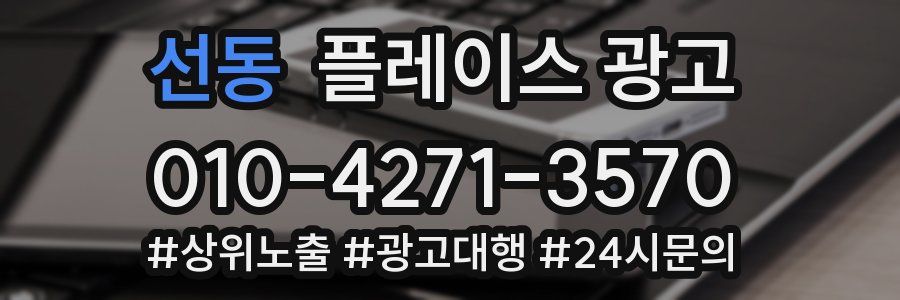 선동 플레이스 광고
