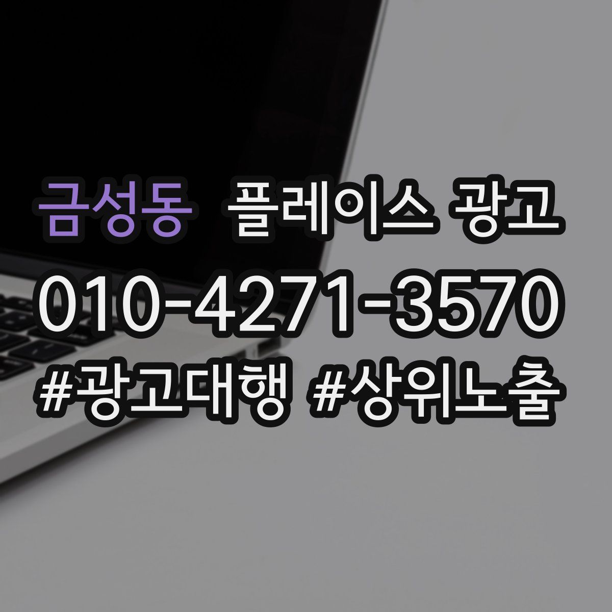 금성동 플레이스 광고