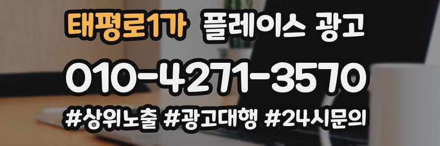 태평로1가 플레이스 광고