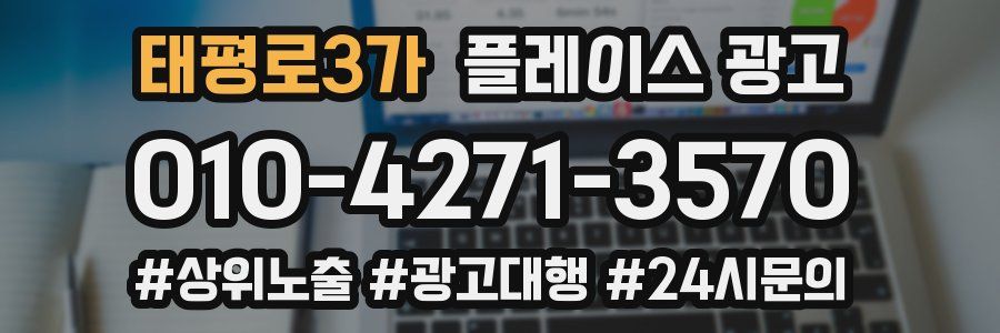태평로3가 플레이스 광고
