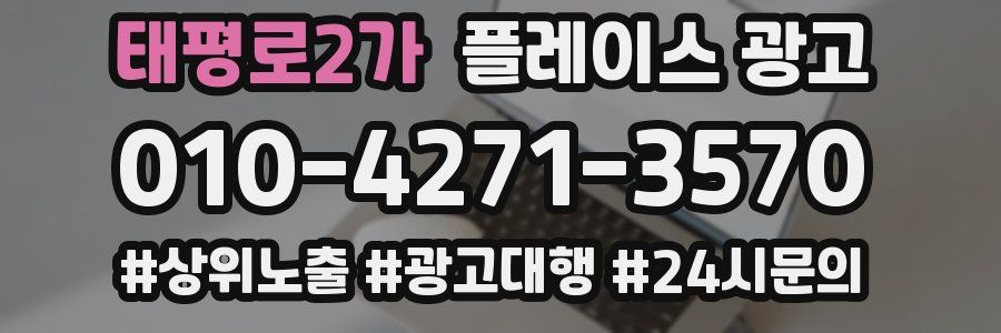 태평로2가 플레이스 광고