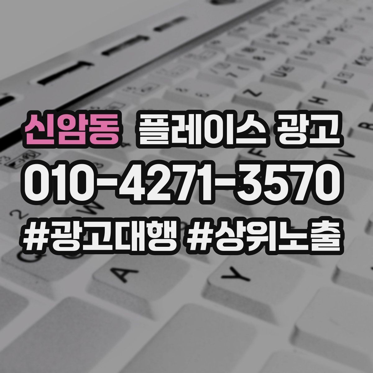 신암동 플레이스 광고 가격 검색에 대응하는 정보 배치