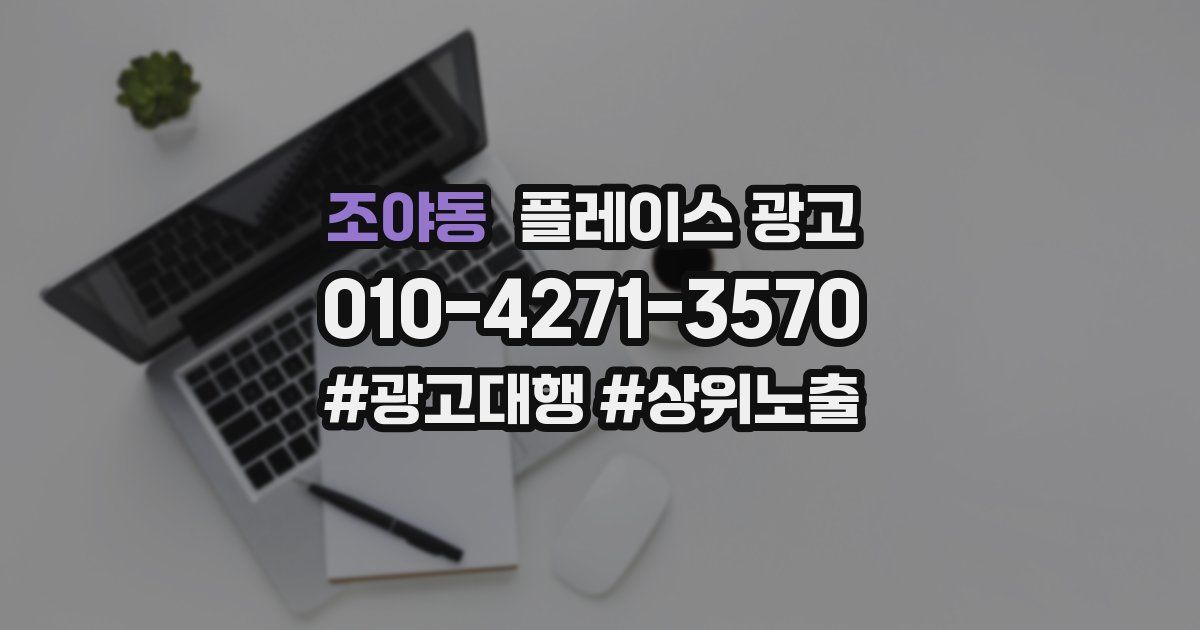 조야동 플레이스 광고