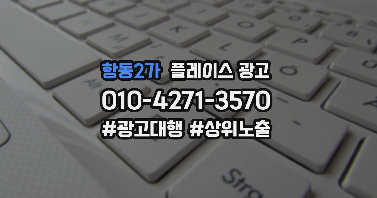 항동2가 플레이스 광고