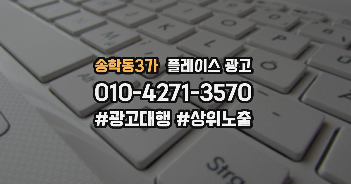 송학동3가 플레이스 광고