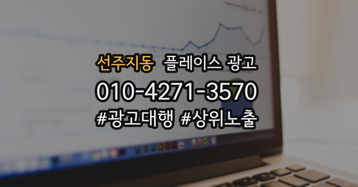 선주지동 플레이스 광고