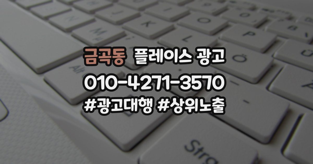 금곡동 플레이스 광고