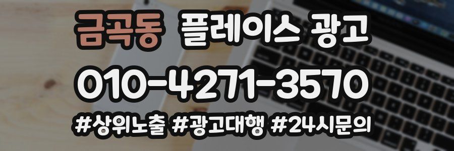금곡동 플레이스 광고