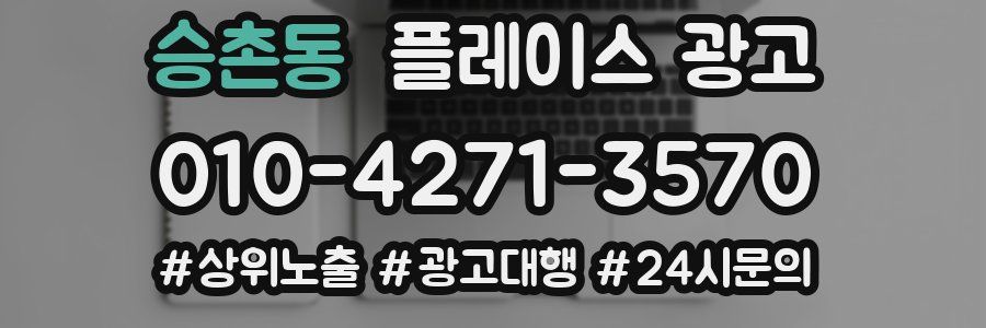 승촌동 플레이스 광고