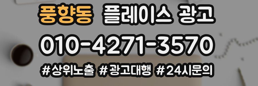 풍향동 플레이스 광고