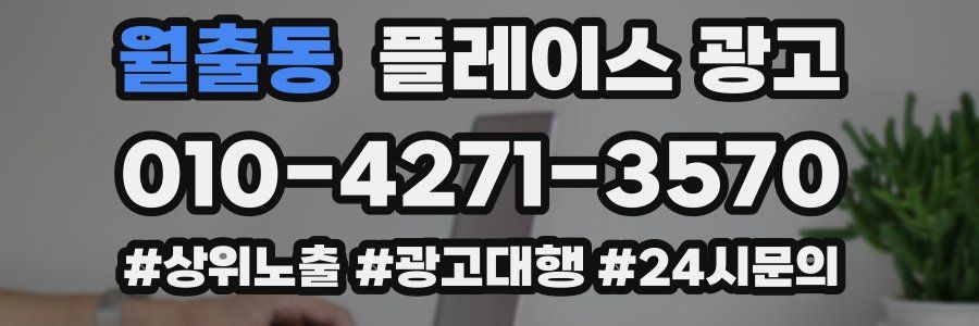 월출동 플레이스 광고