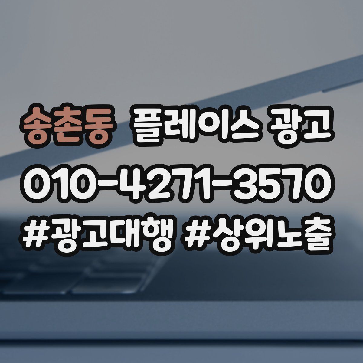 송촌동 플레이스 광고