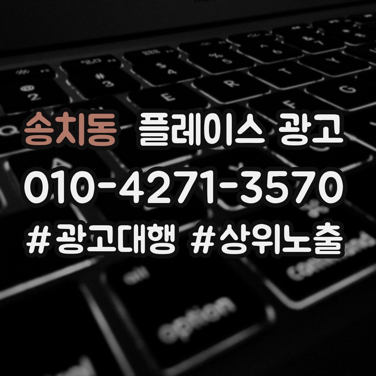 송치동 플레이스 광고
