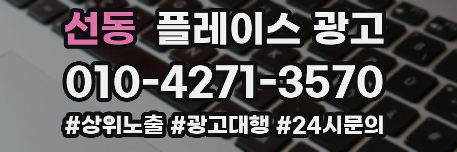 선동 플레이스 광고