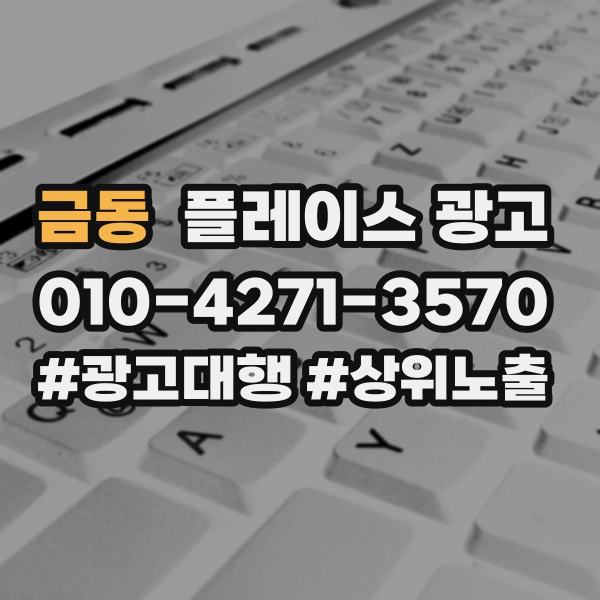 금동 플레이스 광고