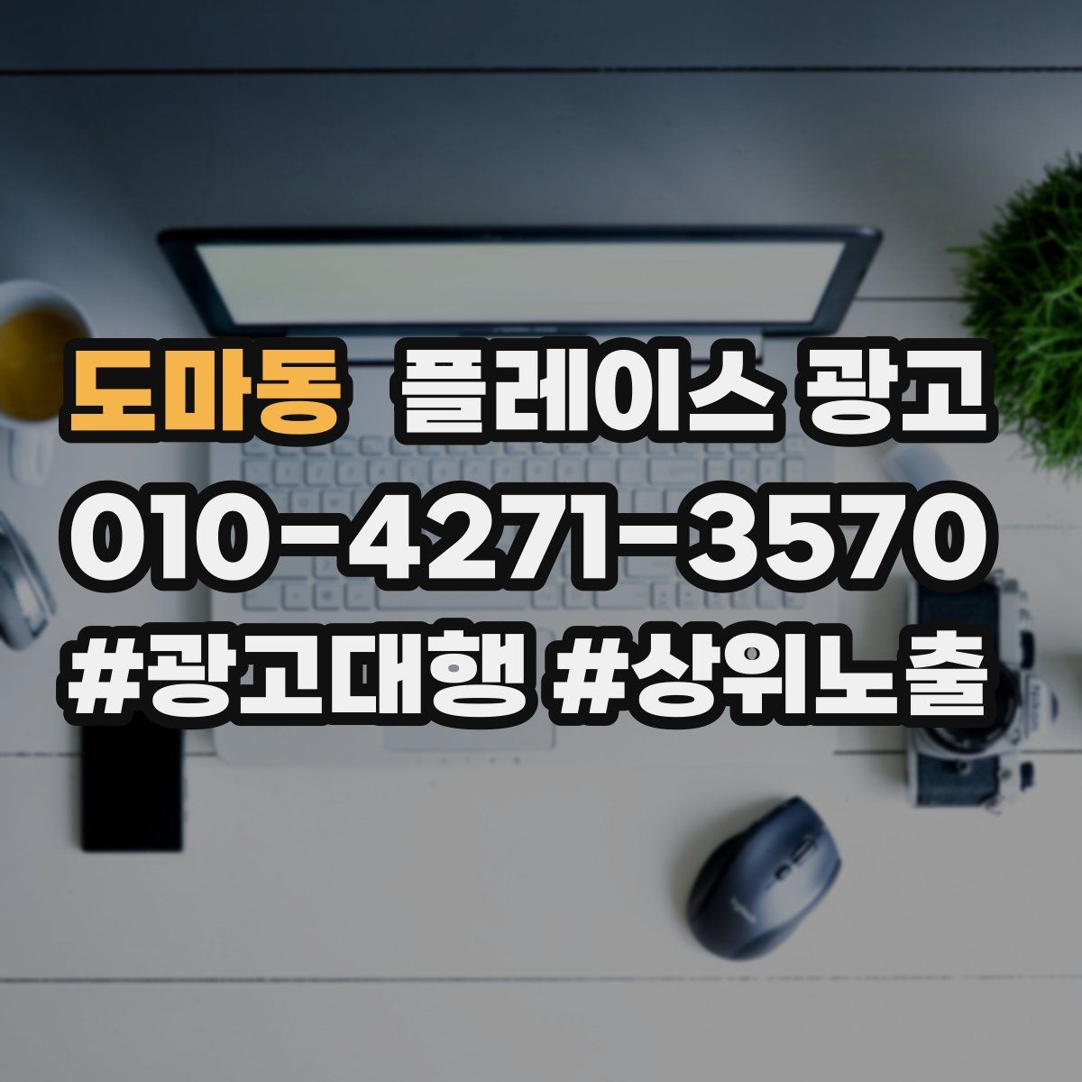 도마동 플레이스 광고