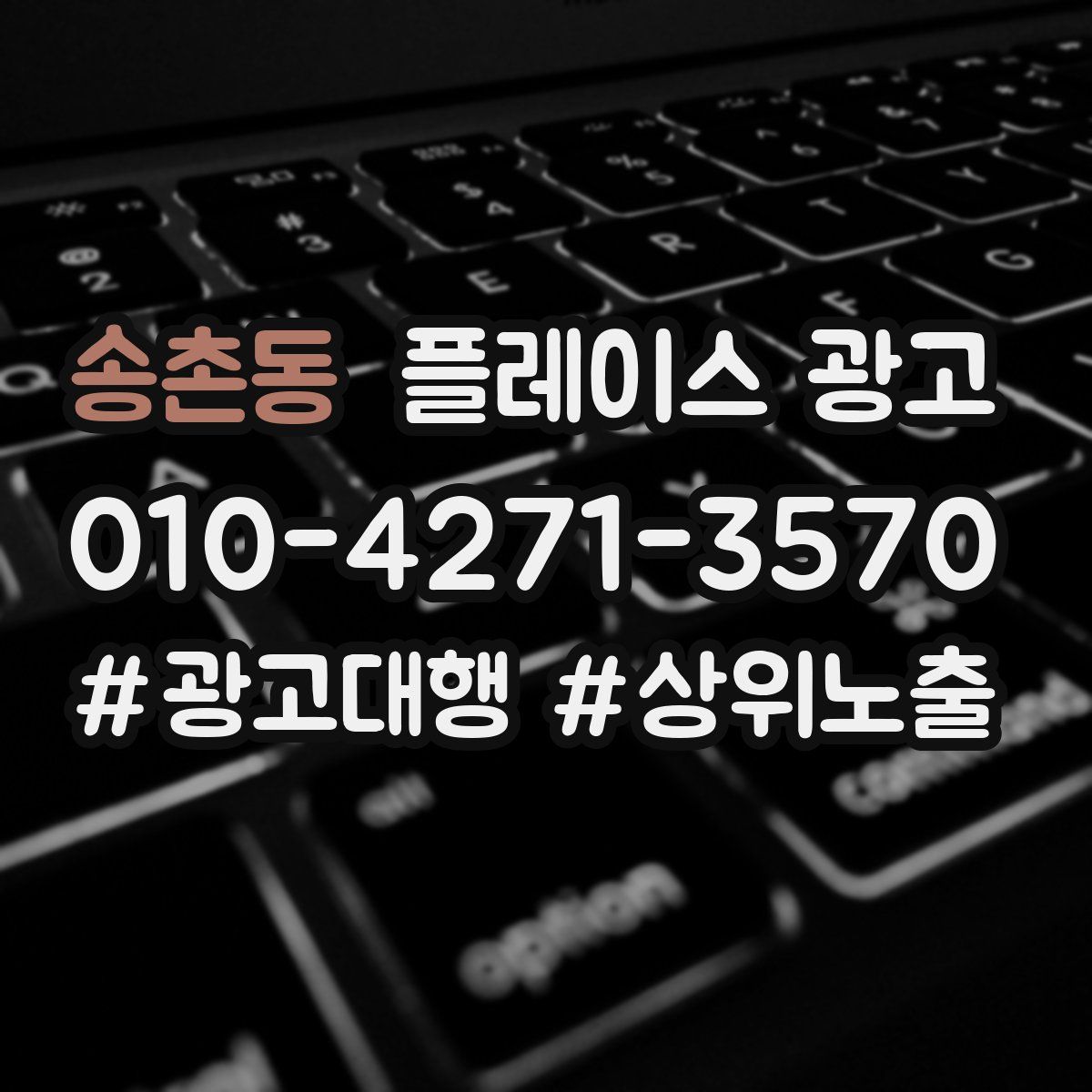 송촌동 플레이스 광고