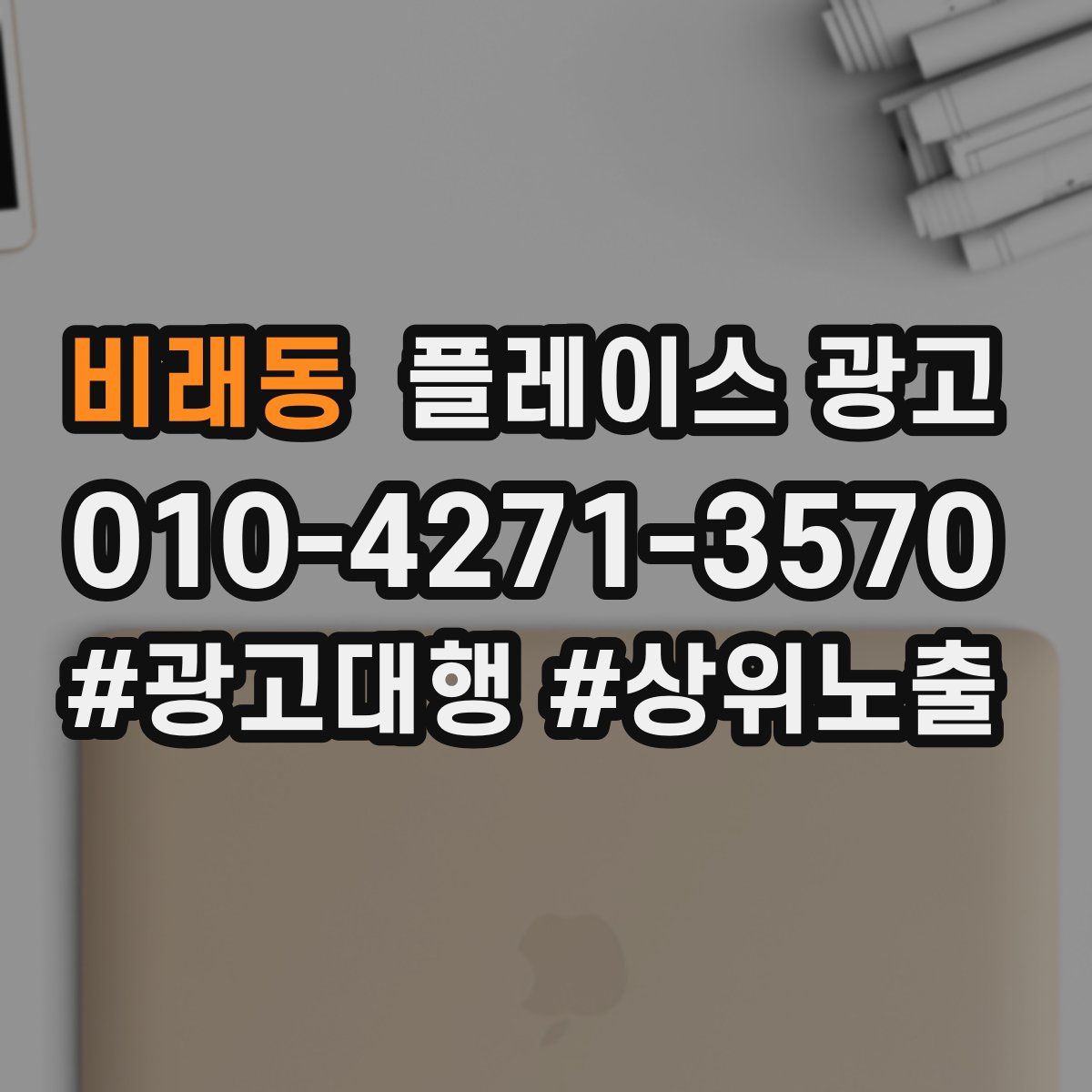비래동 플레이스 광고
