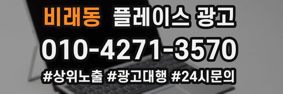 비래동 플레이스 광고