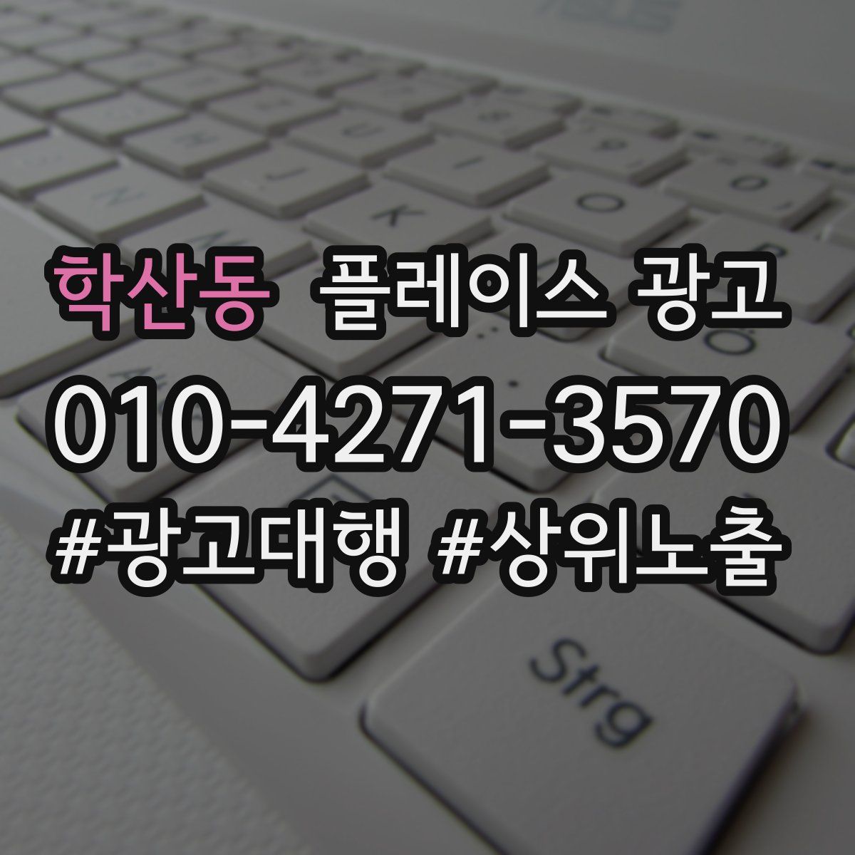 학산동 플레이스 광고