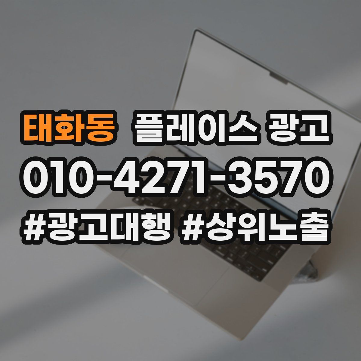 태화동 플레이스 광고