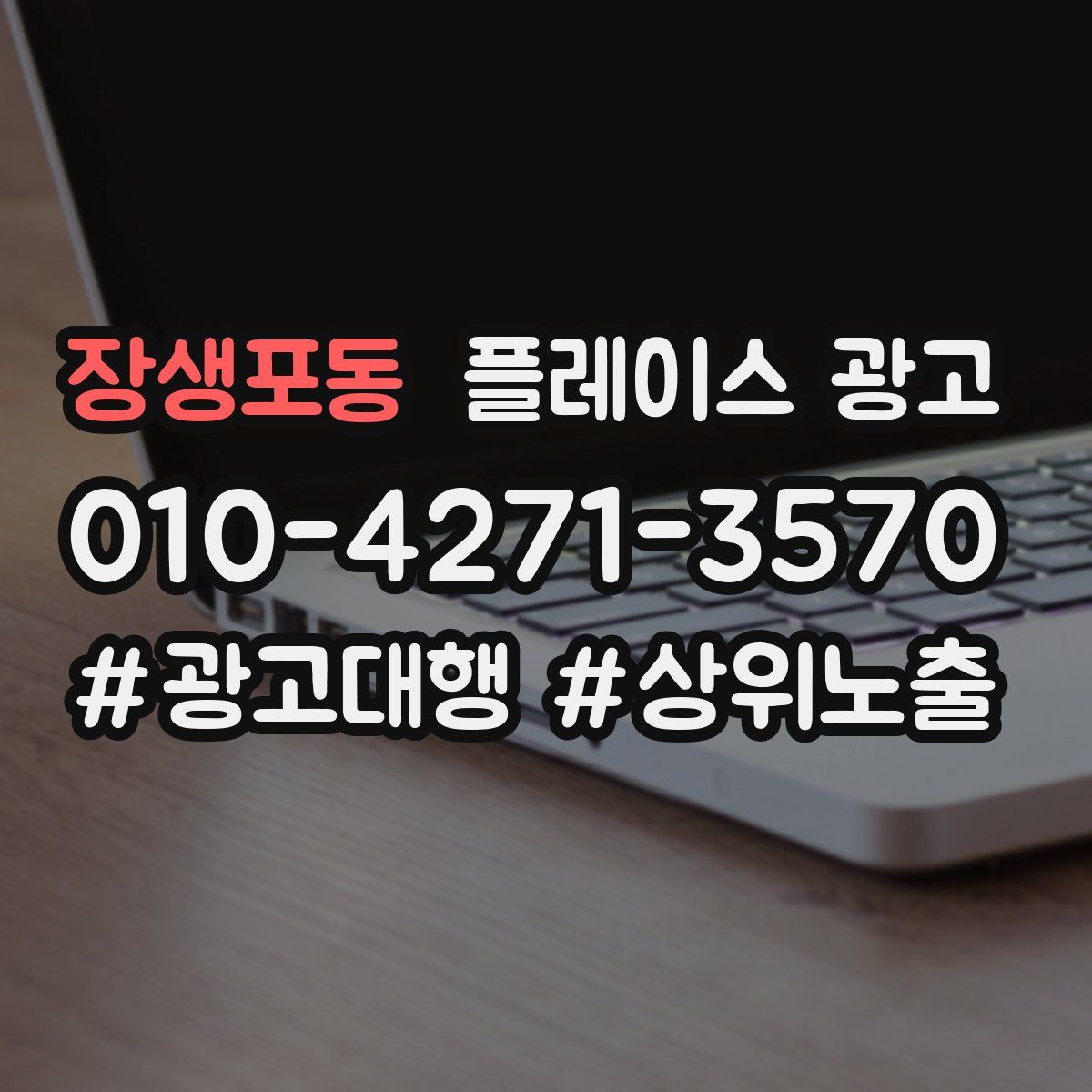 장생포동 플레이스 광고