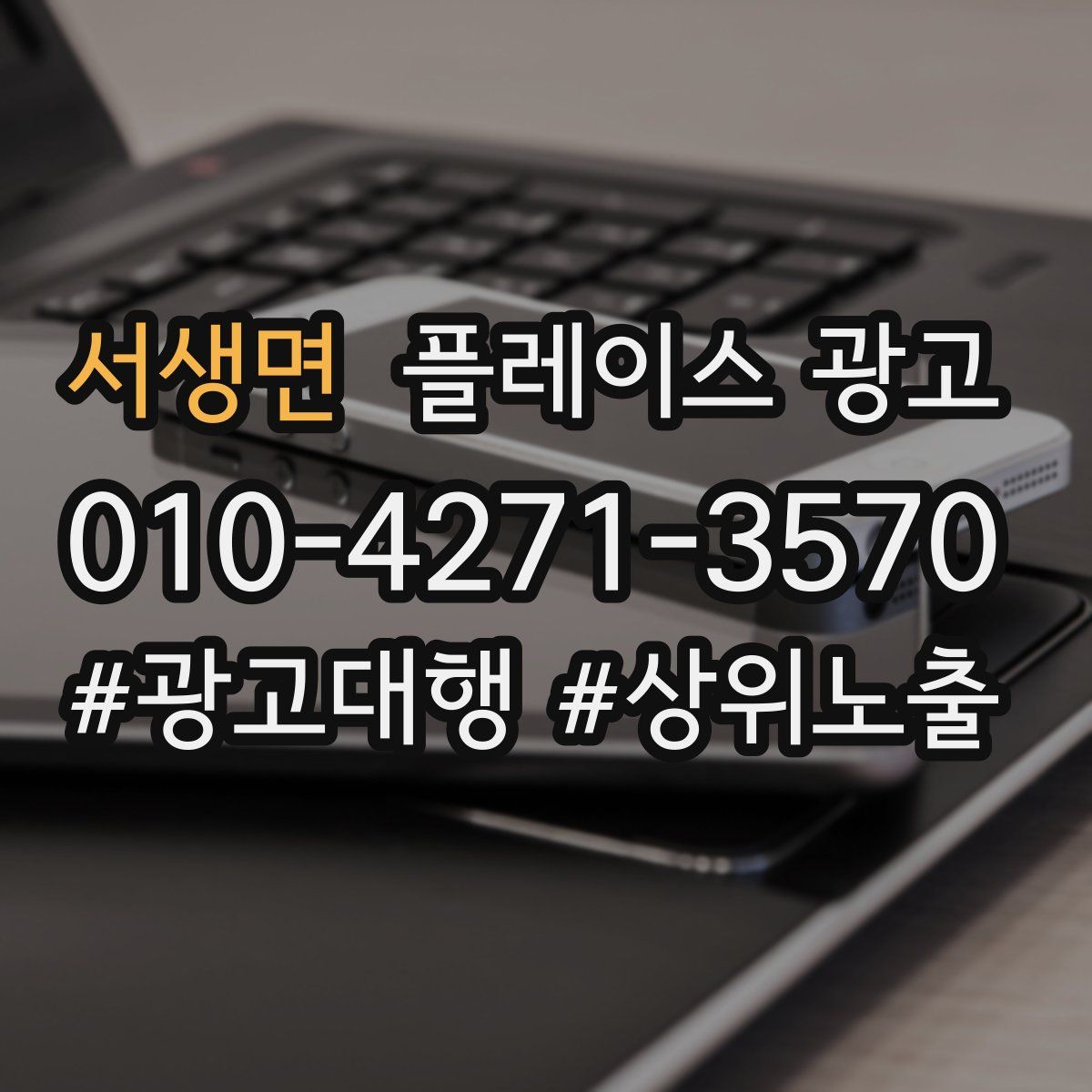 서생면 플레이스 광고