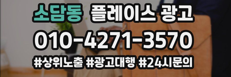 소담동 플레이스 광고