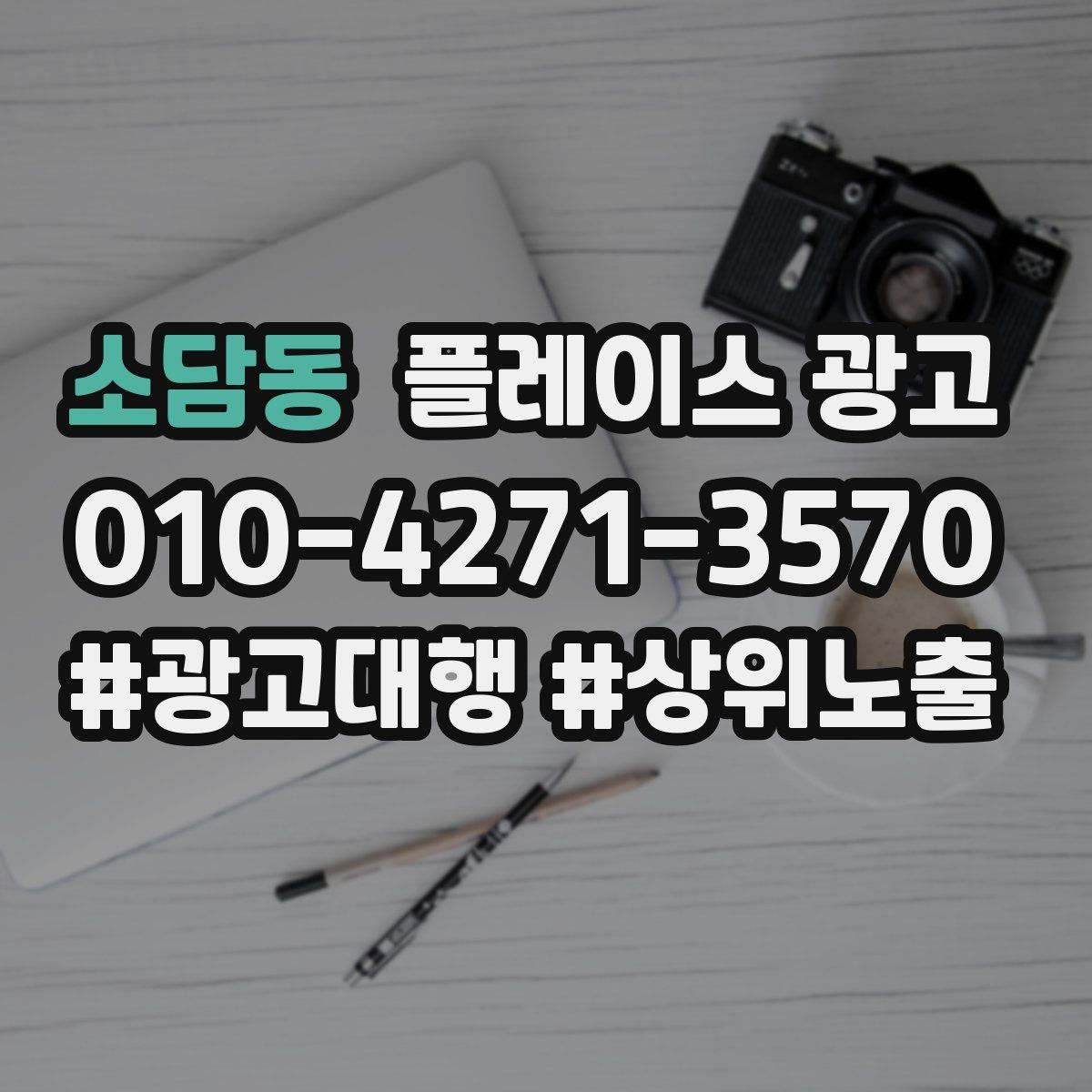 소담동 플레이스 광고