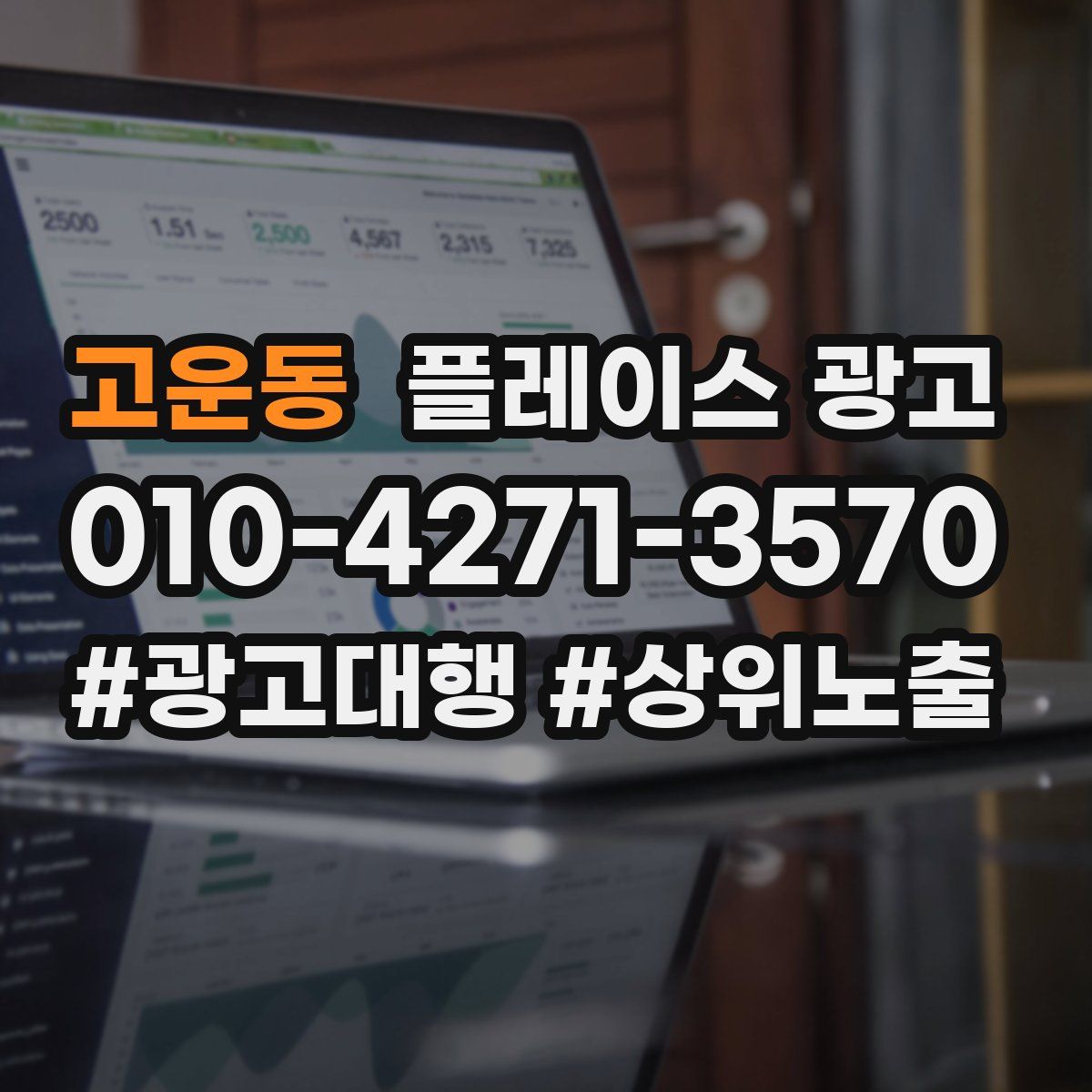 고운동 플레이스 광고