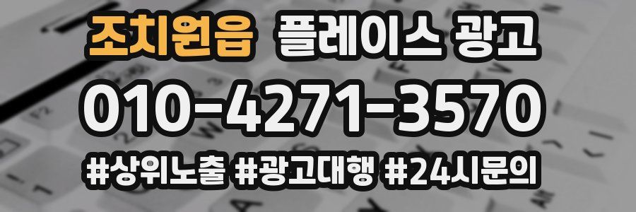 조치원읍 플레이스 광고